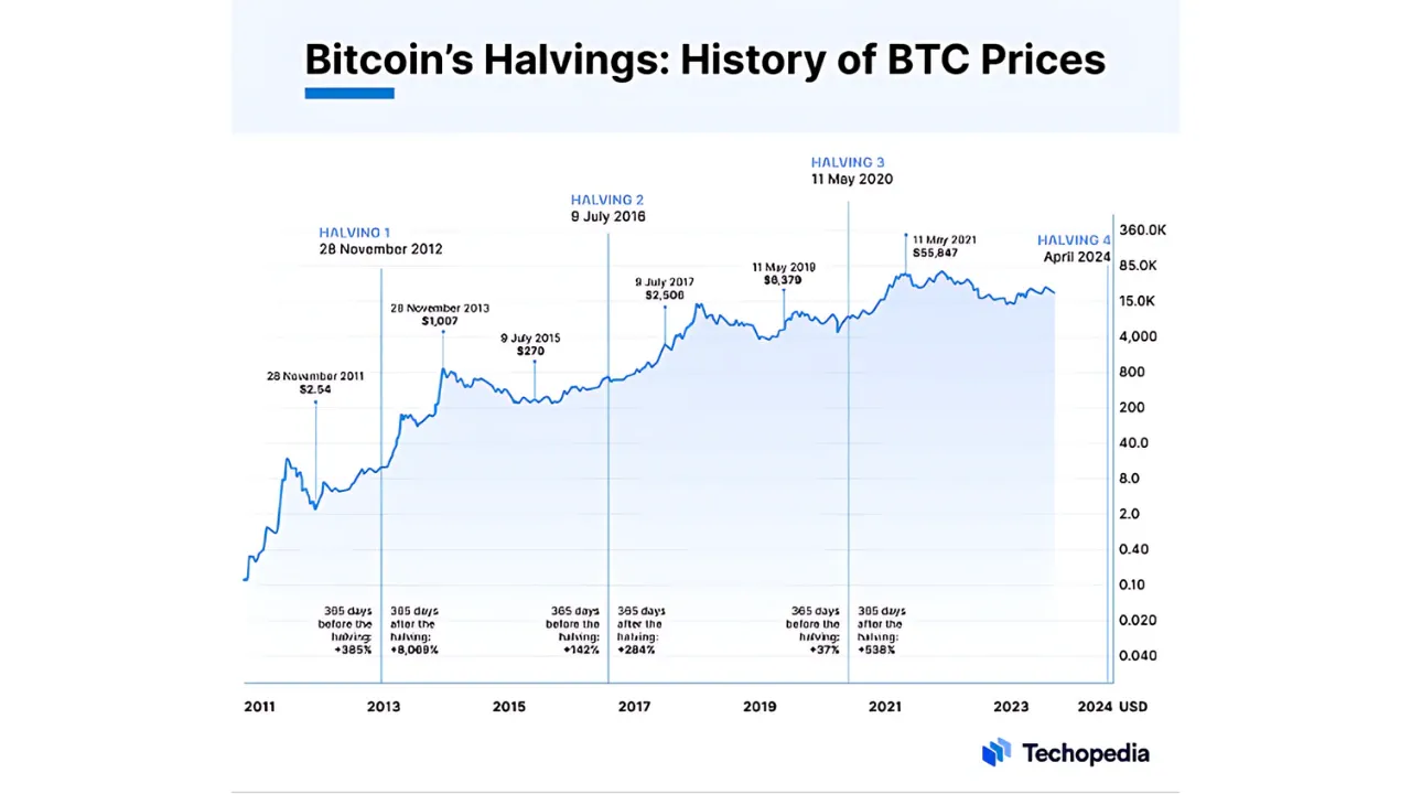 The 2024 Bitcoin Halving Explained: How It Works & Why It Matters