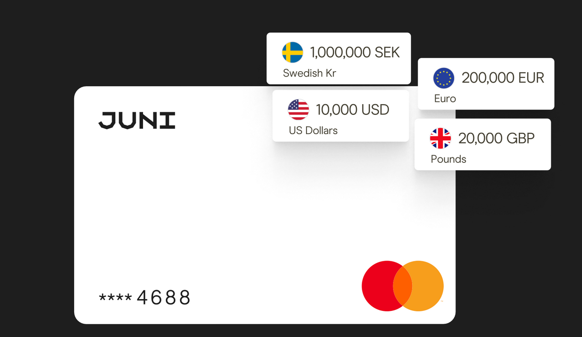 Juni enables Cross-border Payments to the US and China for European ecommerce businesses